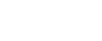 Challenger Automotive Accessories