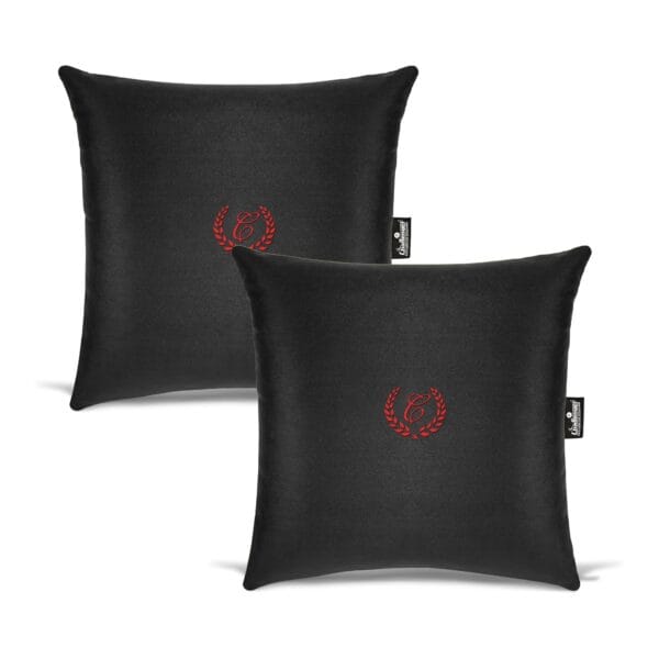 Challenger® 'Square Pillow' - Memory Foam Cushion for Back Support (Set of 2)